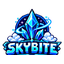 Ikona serwera SkyBite